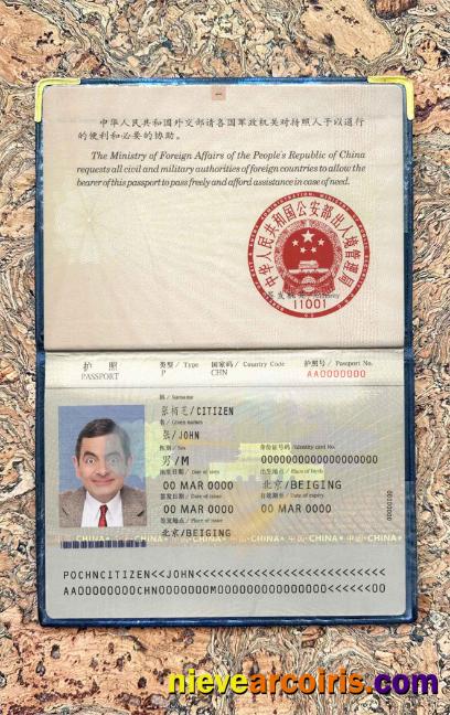 China pass (2007-2009) photolook